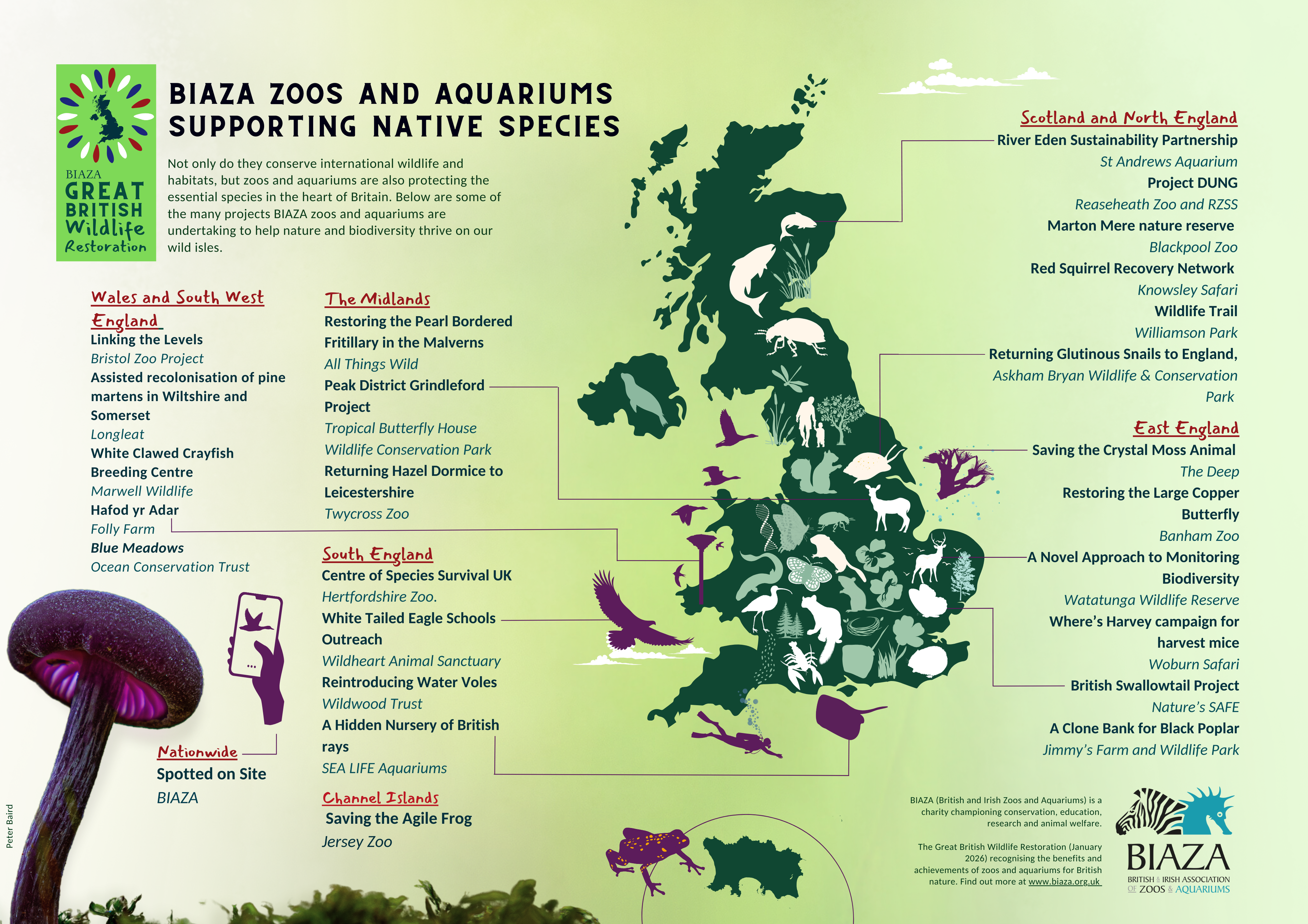 Map of 2026 projects